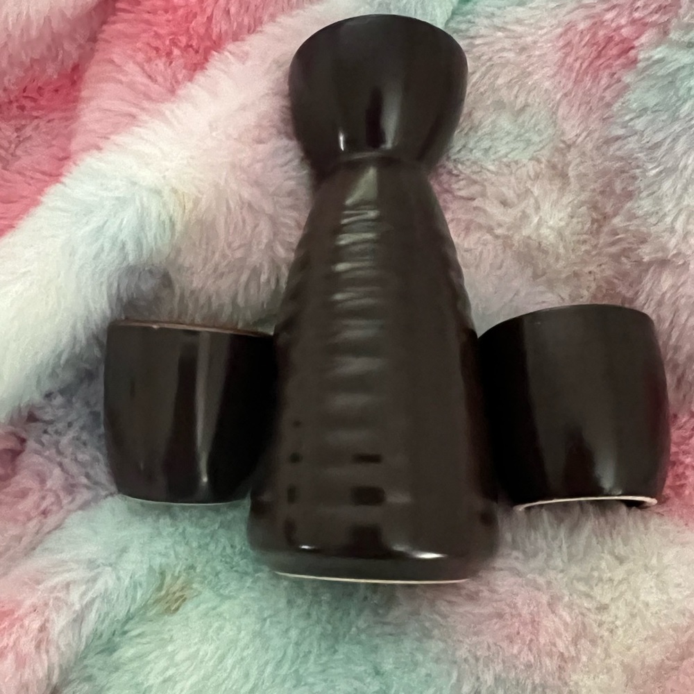 Japanese sake set